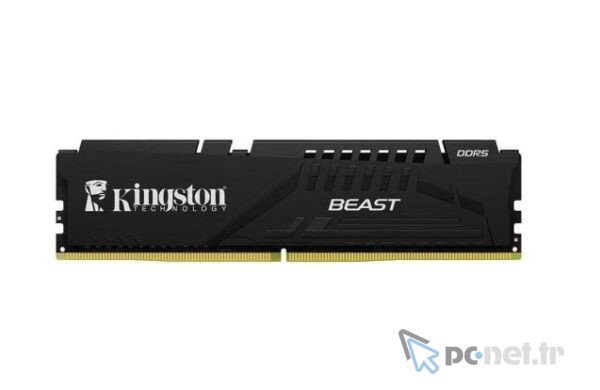 Kingston 32GB Beast EXPO